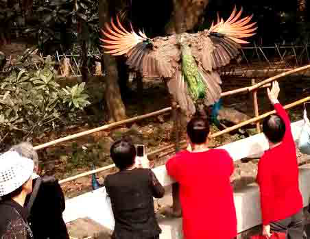 圖片關(guān)鍵詞